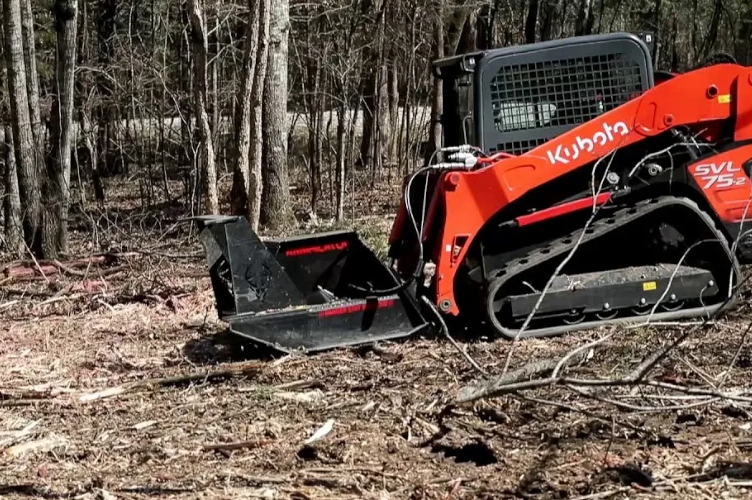 Land clearing before and after