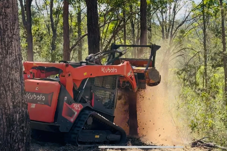 Mulching service for wooded lot maintenance